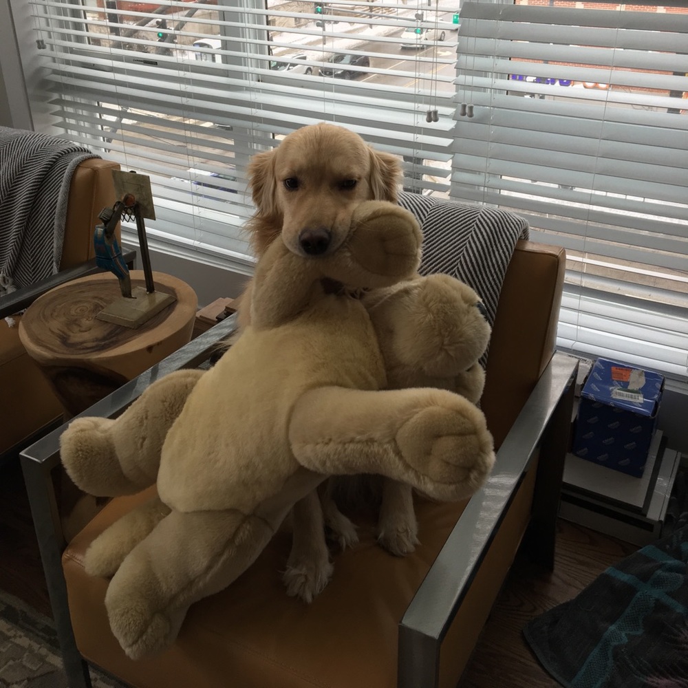 Meet your Posher, Beth